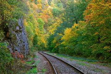Vadu Crisului railway in autumn colours, Occidental Carpathians, Romania, Europe	 - obrazy, fototapety, plakaty