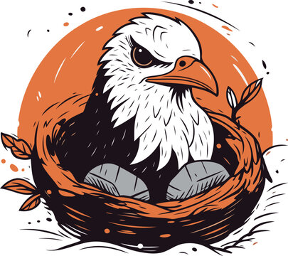 Bald Eagle in the nest. Hand drawn illustration. Vector.