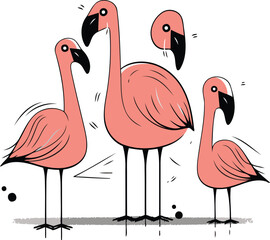 Flamingo. Hand drawn vector illustration isolated on white background.