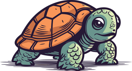 Turtle vector illustration. Isolated on white background. Vector illustration.