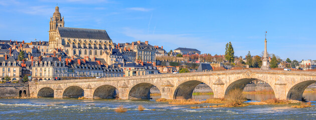Blois, la cathédrale Saint-Louis et le pont Jacques-Gabriel - 673496724