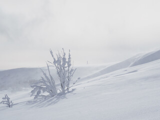 Snowdrifts on the top of the mountain.