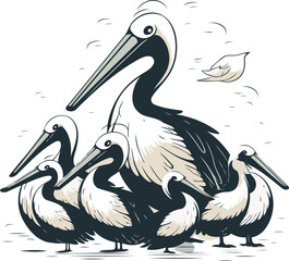 Pelican family. Vector illustration isolated on a white background.