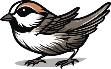 Illustration of a sparrow bird isolated on a white background.
