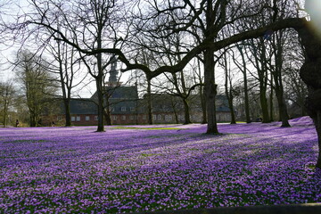 spring in the park husum