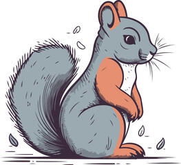 Squirrel. Vector illustration of a squirrel. Hand drawn squirrel.
