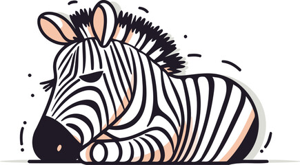 Zebra vector illustration. Isolated on white background. Vector illustration.