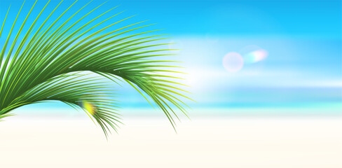Palm leaf in the corner on tropical beach background. Empty sandy beach. Vacation and travel concept. Copy space. Vector illustration.