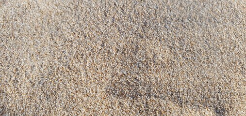 Sand texture. Texture of dry sand on the beach. Dry beige sand. Light fine grain sand texture background. Sand close-up.