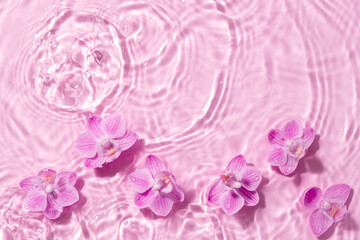 Obraz premium Orchid flowers are floating, stains from a drop on the water