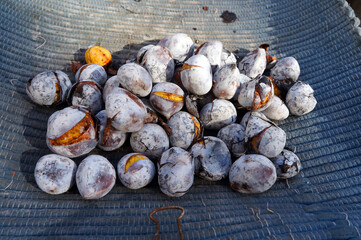 Fototapete bei efototapeten.de bestellen   