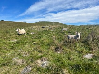 Godley Head Walkway in Christchurch, New Zealand