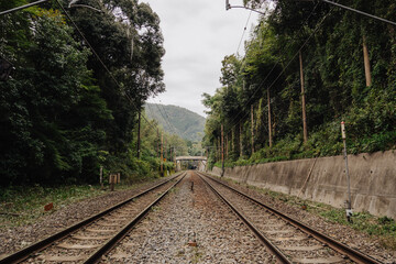 Railway train tracks leading through a lush, green Japanese forest in Arashiyama, Kyoto.