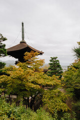 Obraz premium Jōjakkōji Temple in Arashiyama, Kyoto.