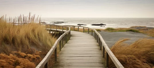 Photo sur Plexiglas Descente vers la plage a boardwalk leading to the water
