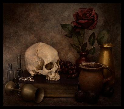 Still life in Vanitas style. Skull, book, life and death symbols.