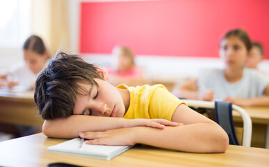 Portrait of tired bored small school boy lying and sleeping at desk in classroom during lesson - obrazy, fototapety, plakaty