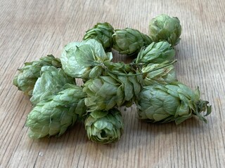 Green hop cones, ingredient for authentic brewery, on black textured table surface. Oktoberfest beer festival concept background with copy space.