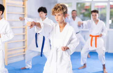Fototapeta na wymiar Willing junior boy wearing kimono training karate techniques in group during workout session