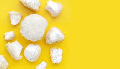 Fresh lion's mane mushroom on yellow background. (Yamabushitake Mushroom)