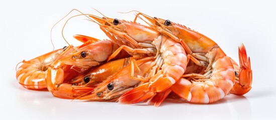 Prawns with long claws roasted and piled up seen from the front on a white background