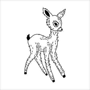 vector illustration of a deer character walking