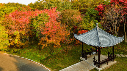 Autumn scenery of red leaves in Nanhu Park, Changchun, China