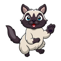 Cute siamese cat cartoon on a white background