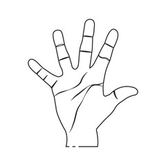 Fototapeta premium Hand Palm icon