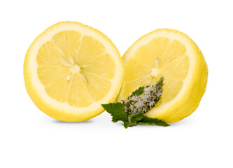 Isolated lemon and mint