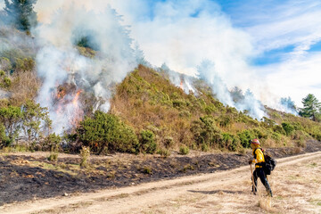 Firefighters Fighting Wildfire
