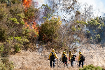 Firefighters Fighting Wildfire