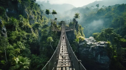  Suspension bridge in jungle, perspective view of hanging wood footbridge in tropical forest. Scenery of trees, mountain and sky in summer. Concept of travel, adventure, nature © scaliger