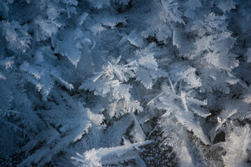 Crystalline frost on river ice grown in severe frost, frosty winter background