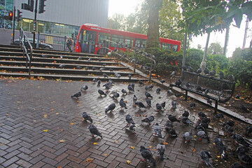 railroad tracks in winter