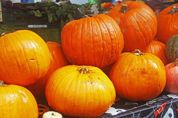 pumpkins for sale