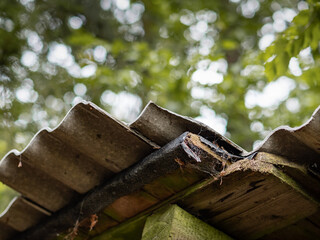 Broken asbestos roof tile. The fibrous cement material has a raw edge. The exposure of hazardous fibers happens during a mechanically processing of the parts. The wavy roofing sheets are forbidden.