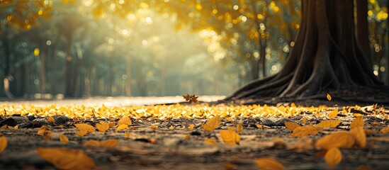 In the forest there is a fallen autumn leaf resting on the ground beneath the banyan tree s roots - obrazy, fototapety, plakaty