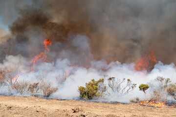 Wildfire Out of Control