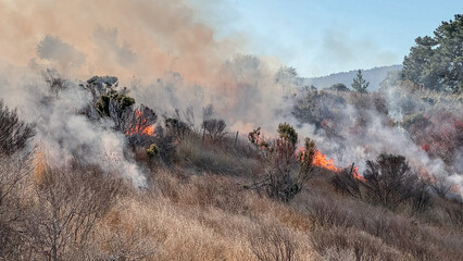 Wildfire Out of Control