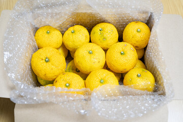 柚子（ゆず）　箱詰め