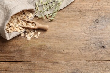 Bag with oatmeal, floret branches and scoop on wooden table, flat lay. Space for text