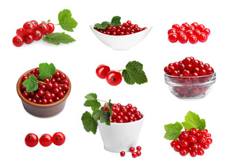 Ripe red currants and green leaves isolated on white, set