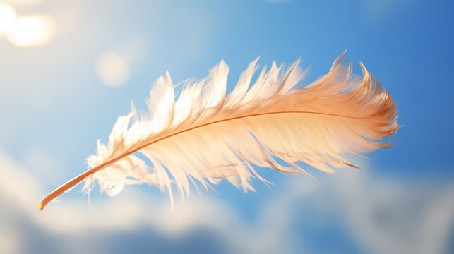 Abstrct Lightly soft of White Fluffly Feather Falling in The Air. from Sky Feather Floating. Down Swan Feather.