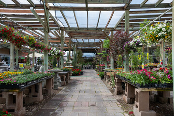 Interior of a garden center nursery looking down an aisle of plants and flowers.