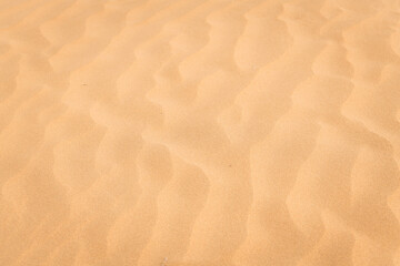 The background image of the sand texture created by the wind