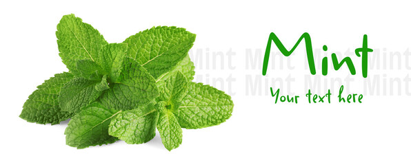 Fresh mint leaves on white background, space for your text. Banner design