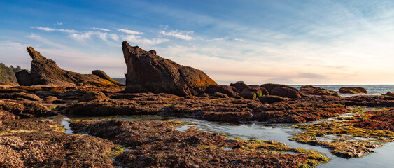 Rocky Shore on the West Coast of Pacific Ocean. Nature Background.