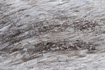 Macro image of weathered grey tree bark with color variations and a slightly wavy horizontal texture pattern.