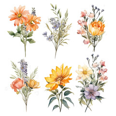 Watercolor Summer Flowers: Bright Floral Elements for Modern Illustrations and Graphics
